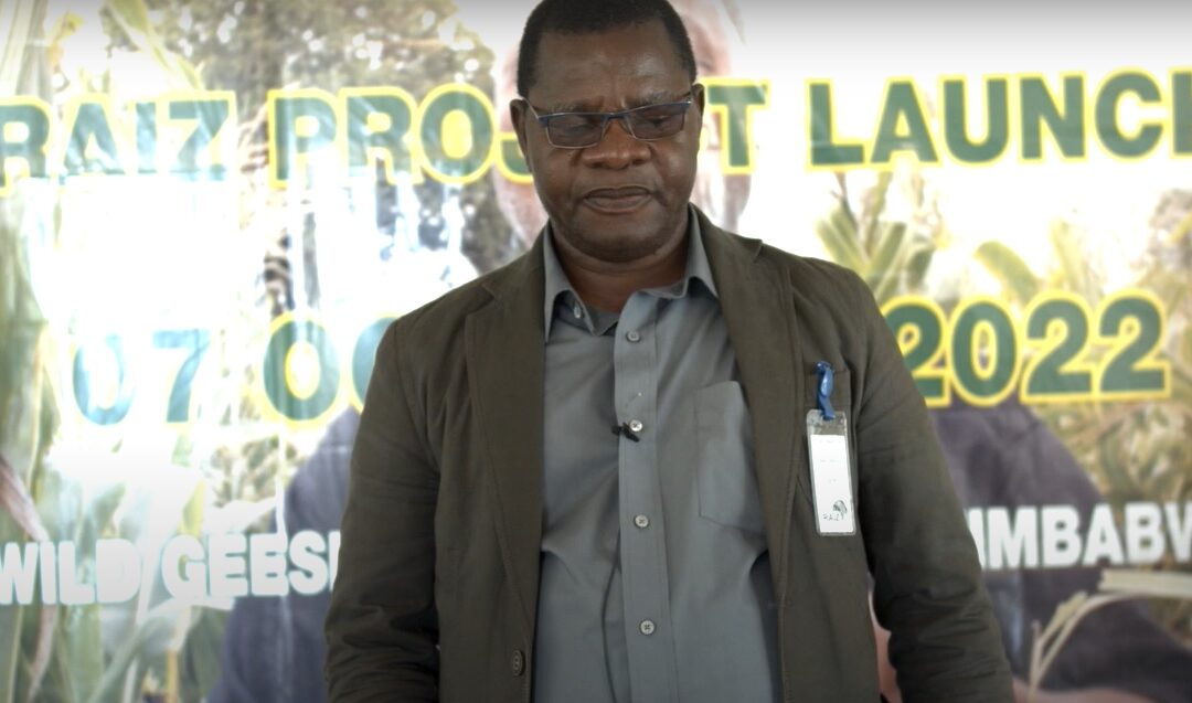 Video of the official launch of RAIZ project