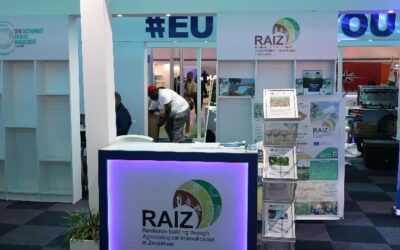 RAIZ Project Exhibiting at the 64th Edition of the Zimbabwe International Trade Fair, 2025