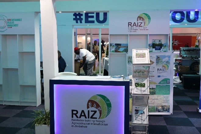RAIZ Project Exhibiting at the 64th Edition of the Zimbabwe International Trade Fair, 2025