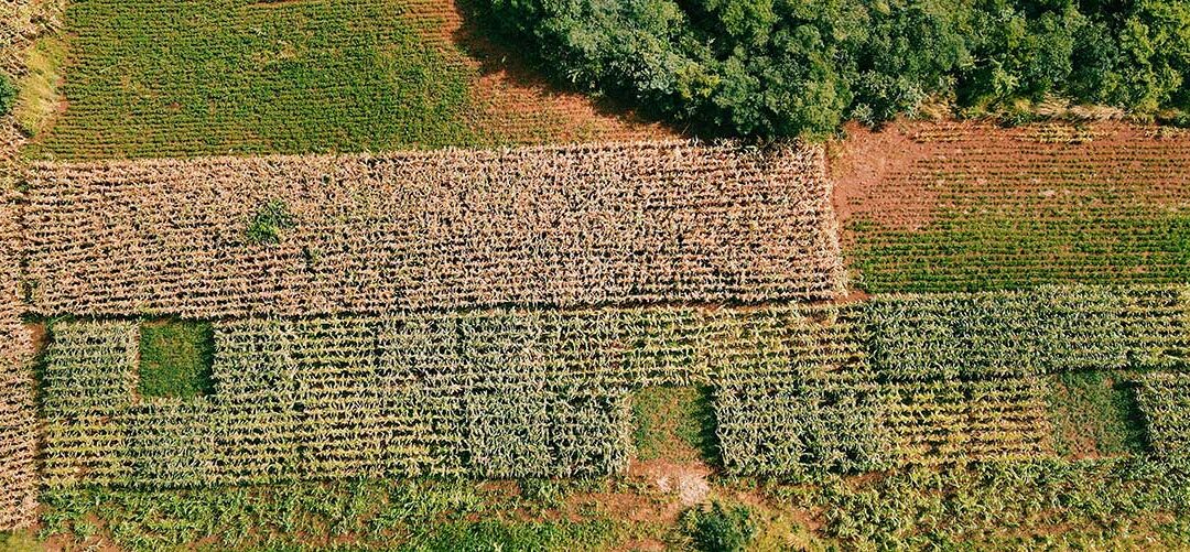 Invitation to OnlinePhD defense for Valentin PRET