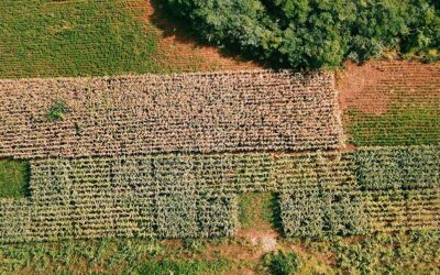 Invitation to OnlinePhD defense for Valentin PRET