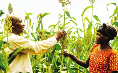 The Global Research & Innovation Cooperation Conference, Brussels, 11-13 March 2025